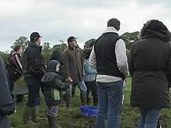 Setting off to see the cattle